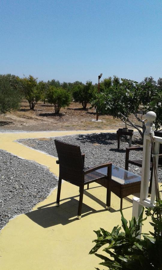 Mersinera Paradise Garden Stars House Larnaca Buitenkant foto