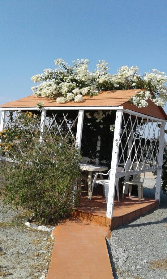 Mersinera Paradise Garden Stars House Larnaca Buitenkant foto