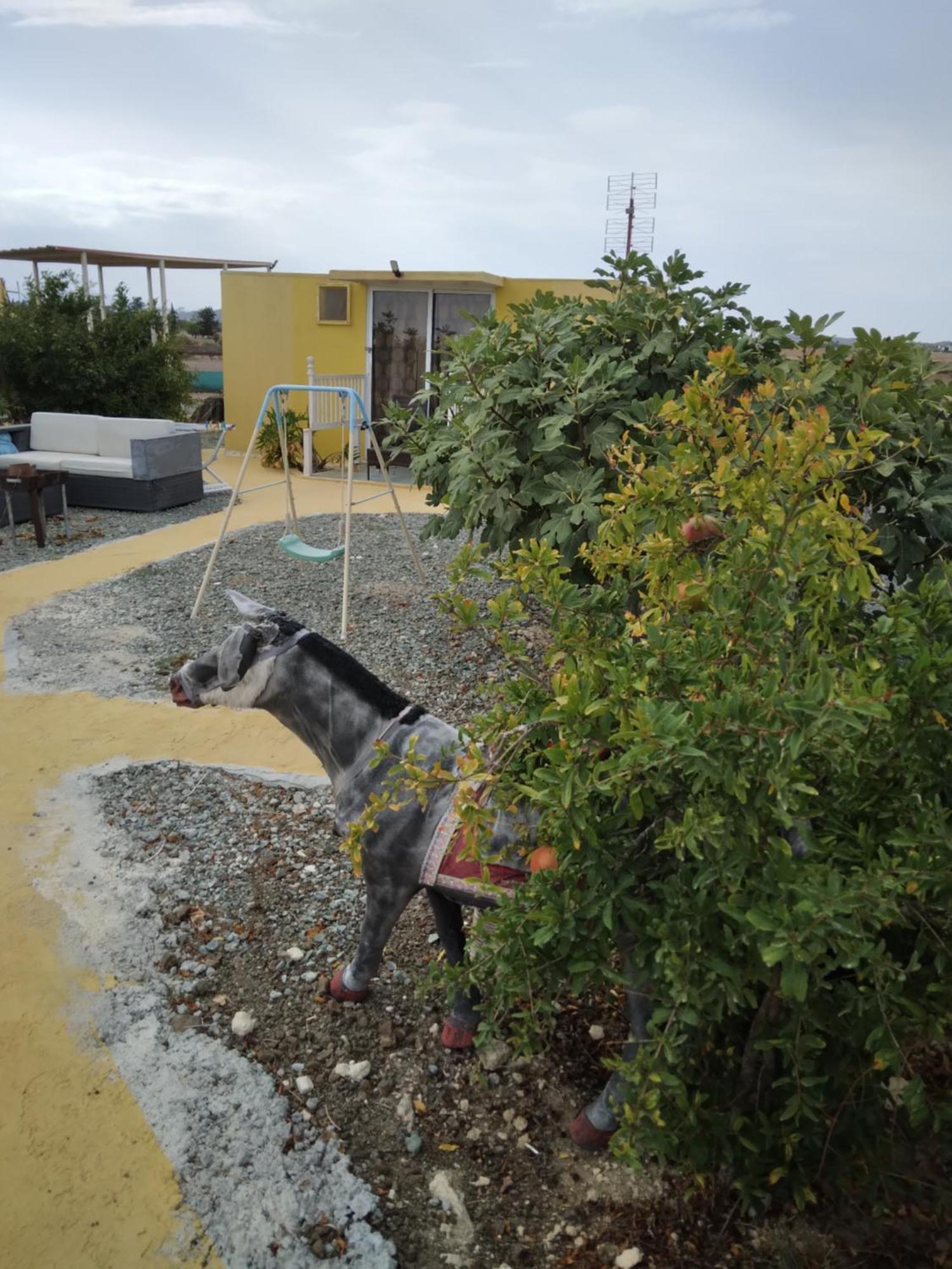 Mersinera Paradise Garden Stars House Larnaca Buitenkant foto